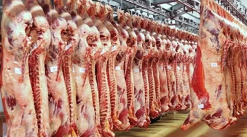 بأسعار تبدأ من 250 جنيها.. تخفيضات وزارة الزراعة على اللحوم خلال شهر رمضان